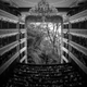 Illustration for article titled These Surreal Images Envision Nature and Cities Colliding